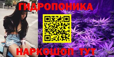 соль ск Кулебаки
