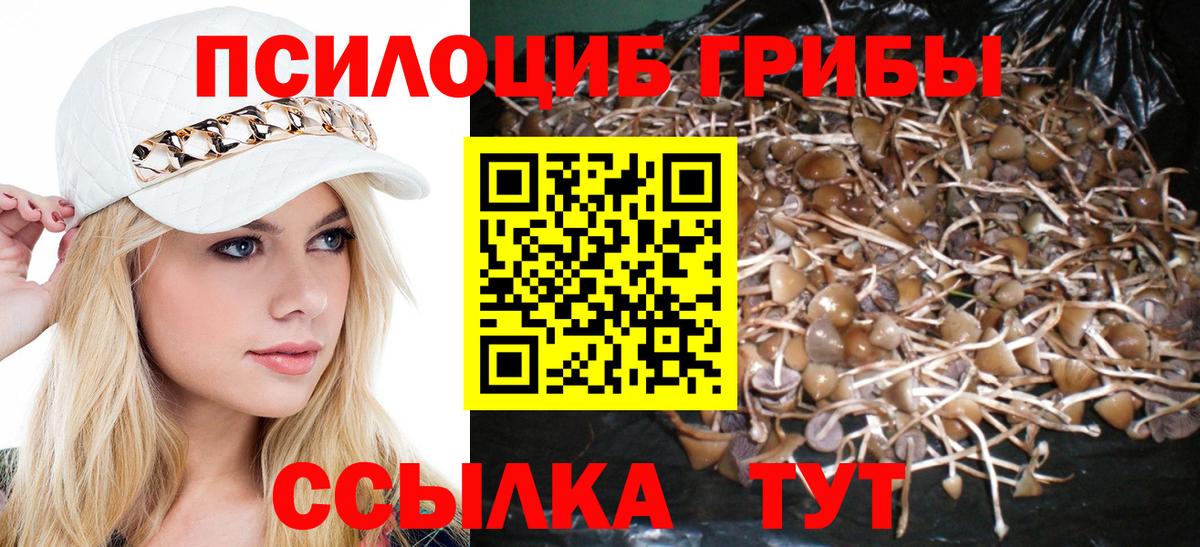 Псилоцибиновые грибы MAGIC MUSHROOMS  Вход с VPN  Верхняя Пышма 