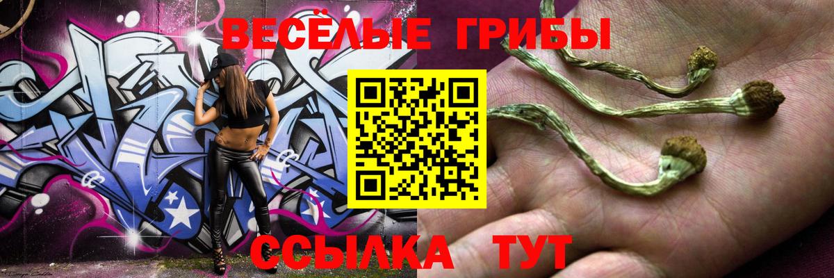 Галлюциногенные грибы Psilocybine cubensis Верхняя Пышма